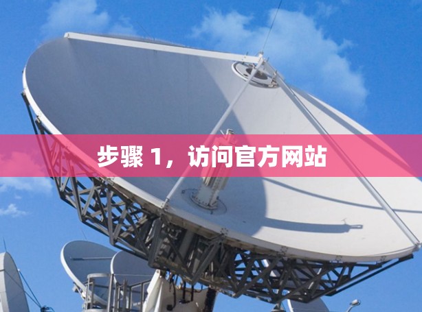 步骤 1，访问官方网站