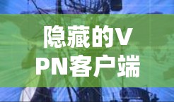 隐藏的VPN客户端安装指南
