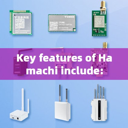 Key features of Hamachi include: