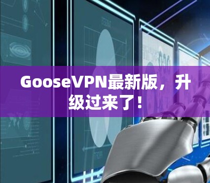 GooseVPN最新版，升级过来了！