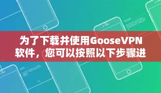 为了下载并使用GooseVPN软件，您可以按照以下步骤进行