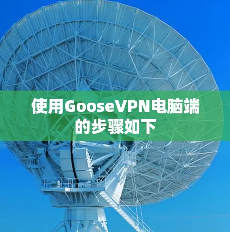 使用GooseVPN电脑端的步骤如下