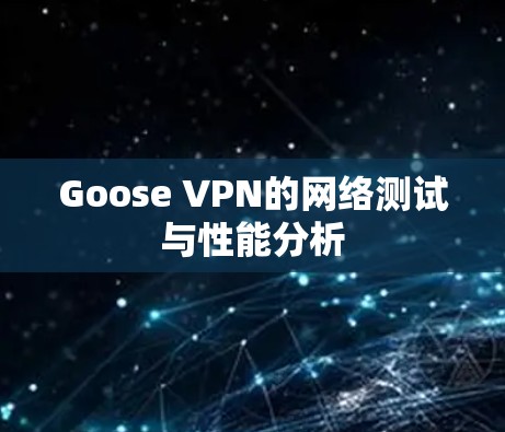 Goose VPN的网络测试与性能分析
