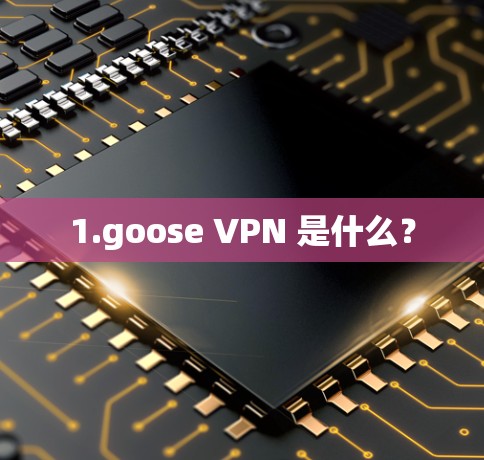 1.goose VPN 是什么？