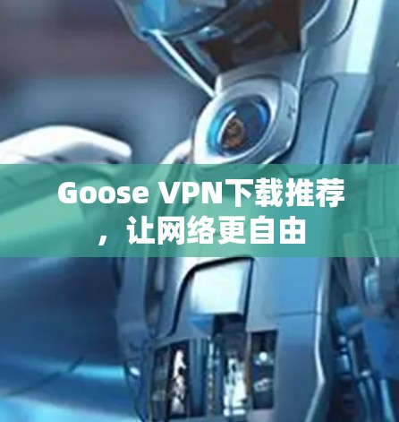 Goose VPN下载推荐，让网络更自由