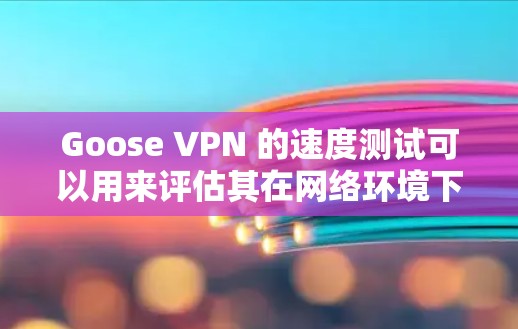Goose VPN 的速度测试可以用来评估其在网络环境下的性能表现。以下是一些可能用于进行速度测试的方法和步骤
