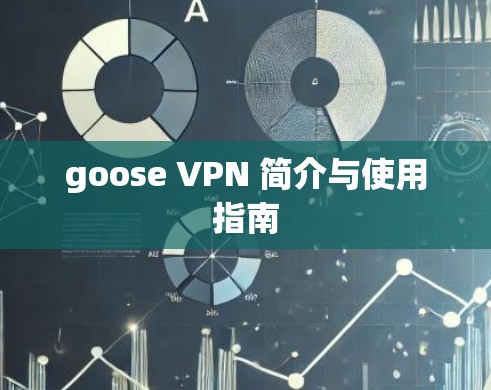 goose VPN 简介与使用指南