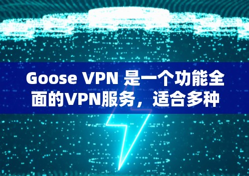 Goose VPN 是一个功能全面的VPN服务，适合多种用户需求。以下是对其体验的详细分析