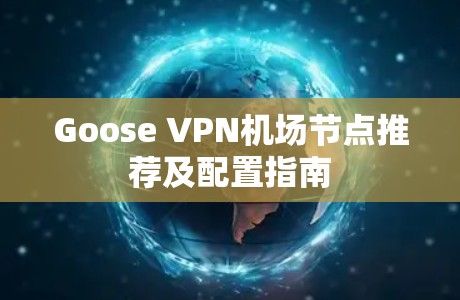 Goose VPN机场节点推荐及配置指南