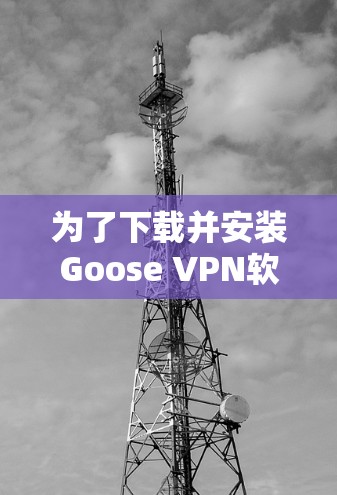 为了下载并安装Goose VPN软件，您可以按照以下步骤操作