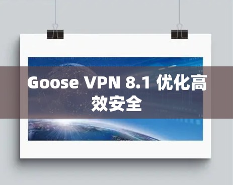 Goose VPN 8.1 优化高效安全