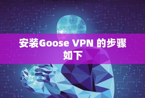 安装Goose VPN 的步骤如下