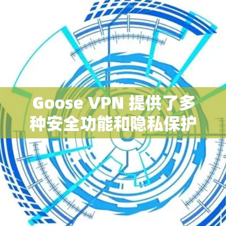 Goose VPN 提供了多种安全功能和隐私保护措施，旨在保护用户数据的安全。以下是这些功能的详细说明