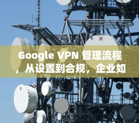 Google VPN 管理流程，从设置到合规，企业如何高效利用