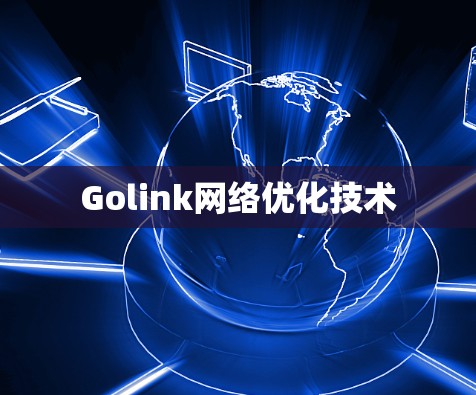 Golink网络优化技术