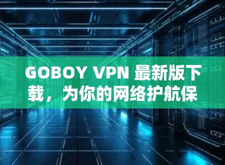 GOBOY VPN 最新版下载，为你的网络护航保驾护航！