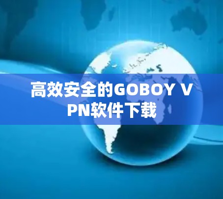 高效安全的GOBOY VPN软件下载