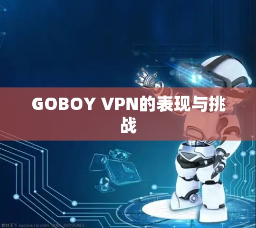 GOBOY VPN的表现与挑战