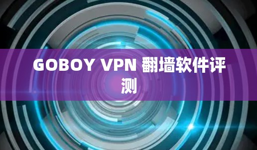 GOBOY VPN 翻墙软件评测
