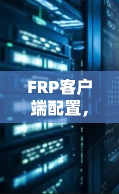 FRP客户端配置，帮助你在无线网络中高效通信