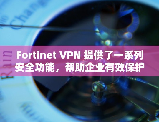 Fortinet VPN 提供了一系列安全功能，帮助企业有效保护数据和资产。以下是其主要的安全功能及其分析