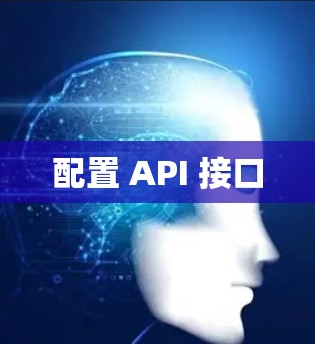 配置 API 接口
