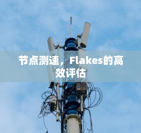 节点测速，Flakes的高效评估