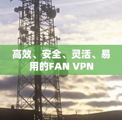 高效、安全、灵活、易用的FAN VPN
