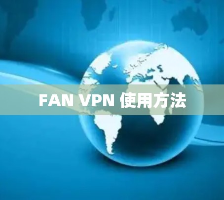 FAN VPN 使用方法