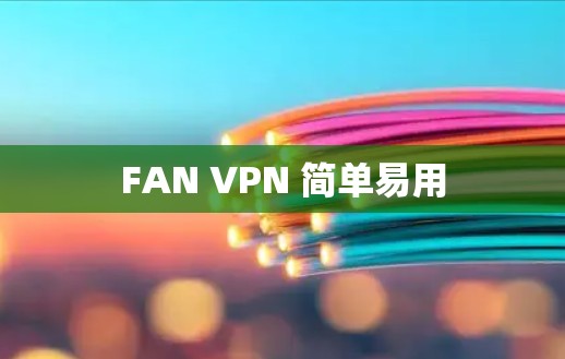 FAN VPN 简单易用