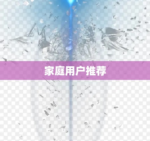 家庭用户推荐