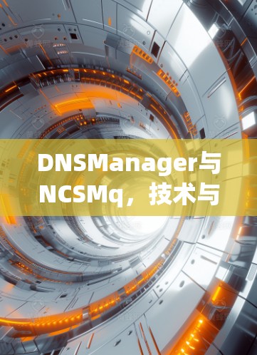 DNSManager与NCSMq，技术与实践的完美结合