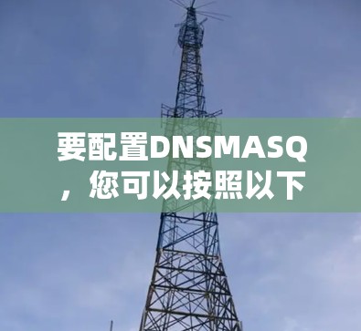 要配置DNSMASQ，您可以按照以下步骤进行