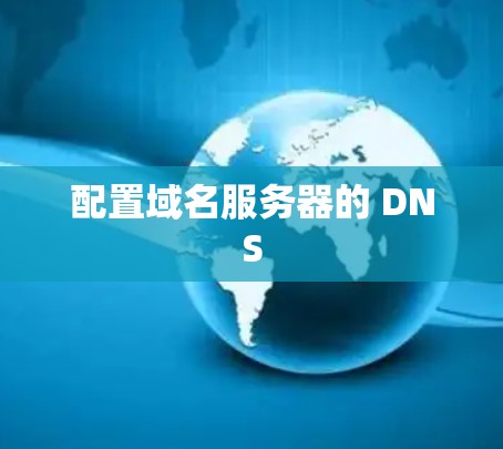 配置域名服务器的 DNS