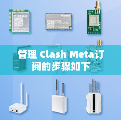 管理 Clash Meta订阅的步骤如下