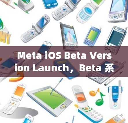 Meta iOS Beta Version Launch，Beta 系统发布与测试功能探索
