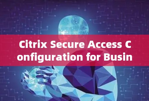 Citrix Secure Access Configuration for Business Users