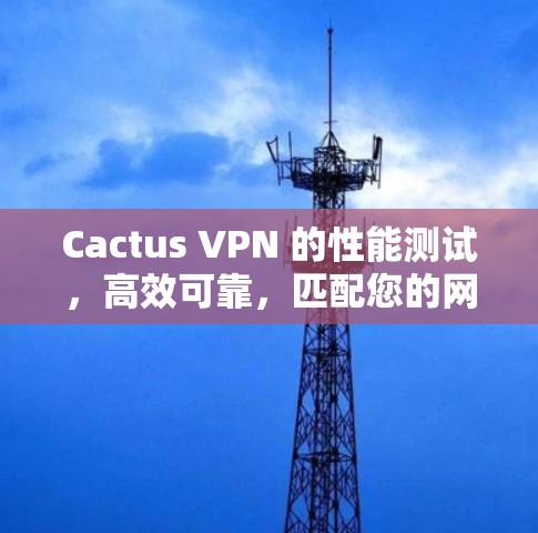 Cactus VPN 的性能测试，高效可靠，匹配您的网络需求