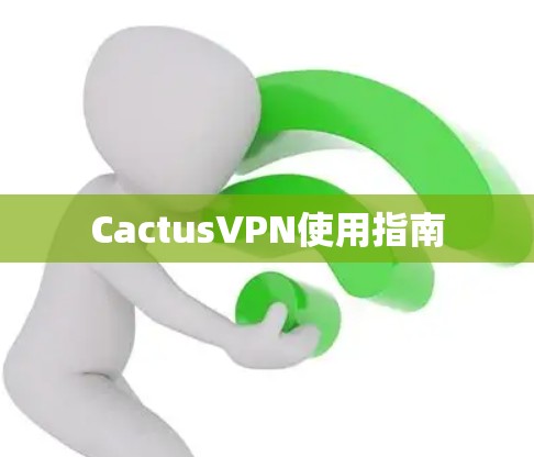 CactusVPN使用指南