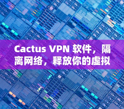 Cactus VPN 软件，隔离网络，释放你的虚拟世界潜力