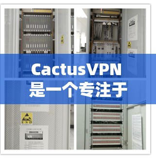 CactusVPN 是一个专注于提供VPN服务的软件，旨在保护用户的网络访问。以下是关于 CactusVPN 的一些关键信息