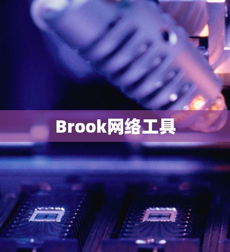 Brook网络工具