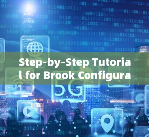 Step-by-Step Tutorial for Brook Configuration