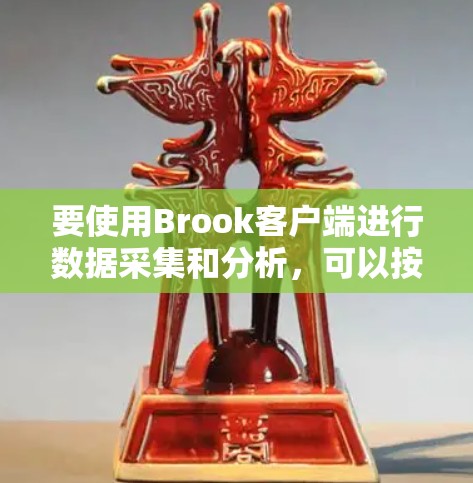 要使用Brook客户端进行数据采集和分析，可以按照以下步骤进行