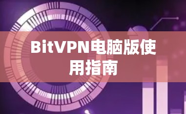 BitVPN电脑版使用指南