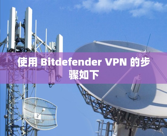 使用 Bitdefender VPN 的步骤如下