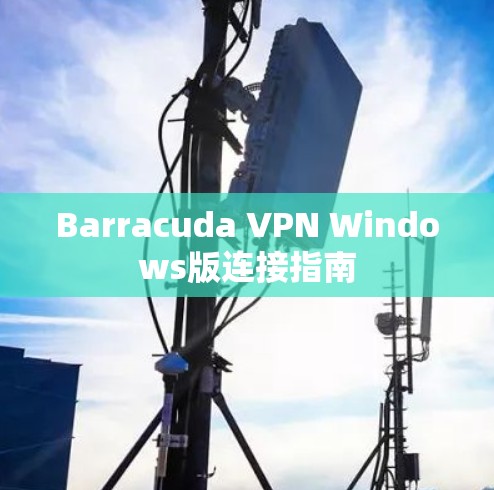 Barracuda VPN Windows版连接指南