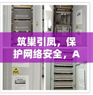 筑巢引凤，保护网络安全，Avast VPN最新版助力网络防护